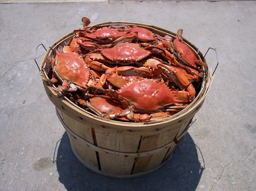 How Many Crabs Are in A Bushel?